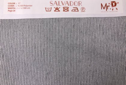 Salvador